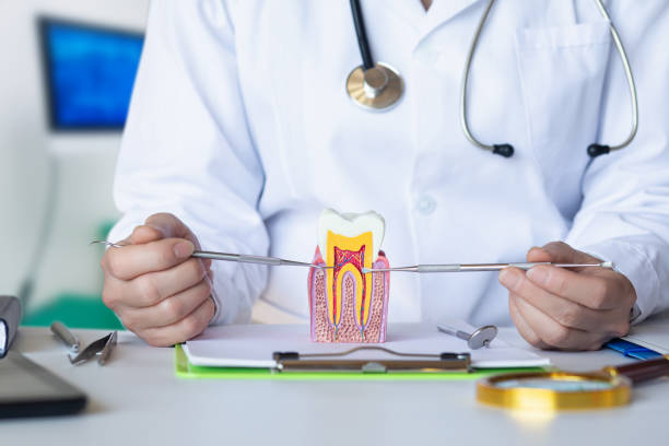 Best Emergency Tooth Extraction in Madison Heights, VA